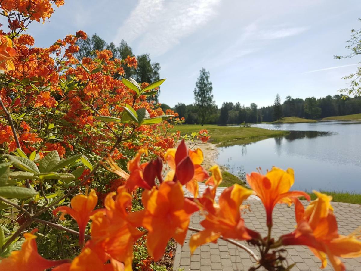 Mezdzirnas Country House & Spa Kabile Buitenkant foto